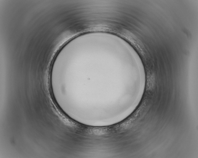X0000110681086200907101122