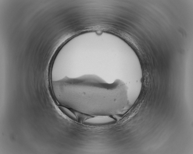 X0000110681087200907101122