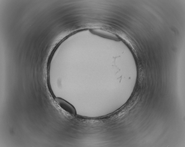 X0000110681088200907101122