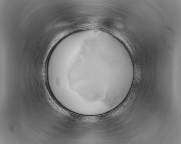 X0000110681090200907101122