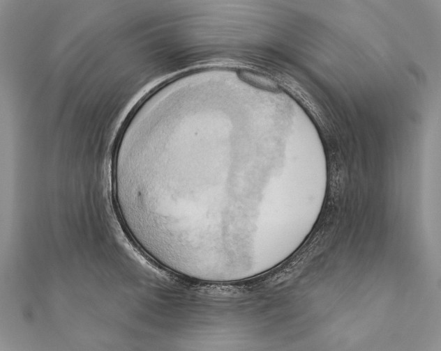 X0000110681092200907101122