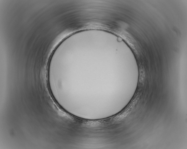 X0000110681094200907101122