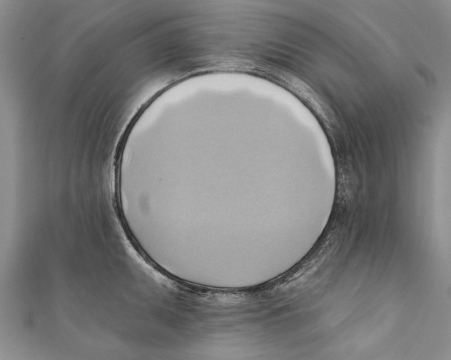 X0000110681095200907101122