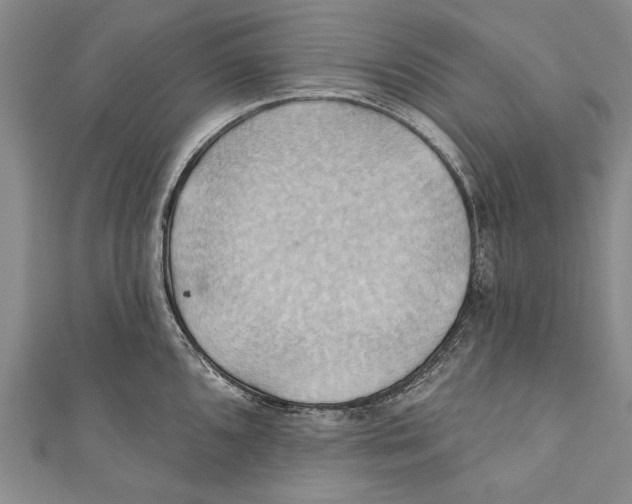 X0000110681096200907101122