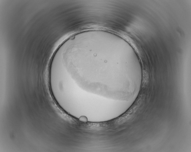 X0000110681098200907101122