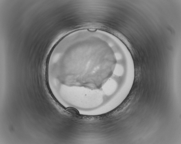 X0000110681099200907101122