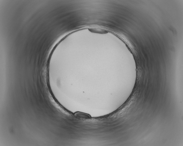 X0000110681100200907101122