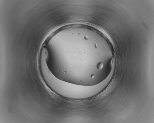 X0000110681101200907101122