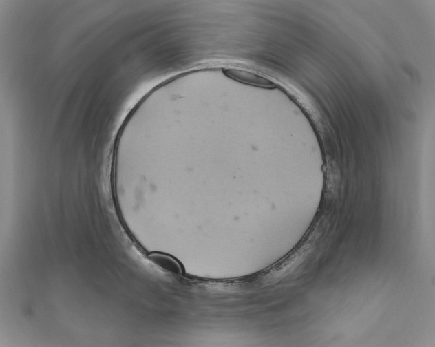 X0000110681102200907101122