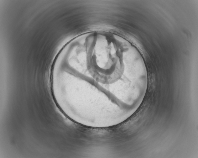 X0000110681103200907101122