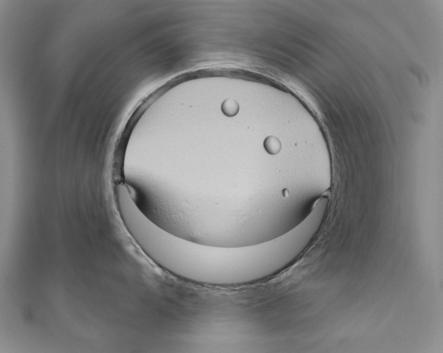 X0000110681104200907101122
