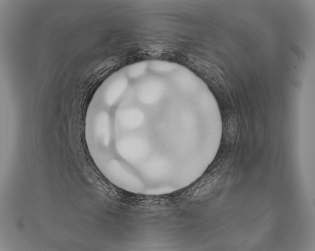 X0000110681105200907101121