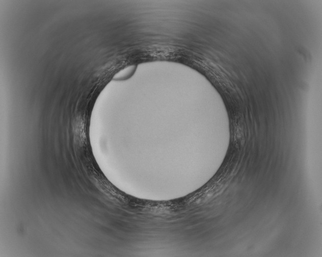 X0000110681106200907101121