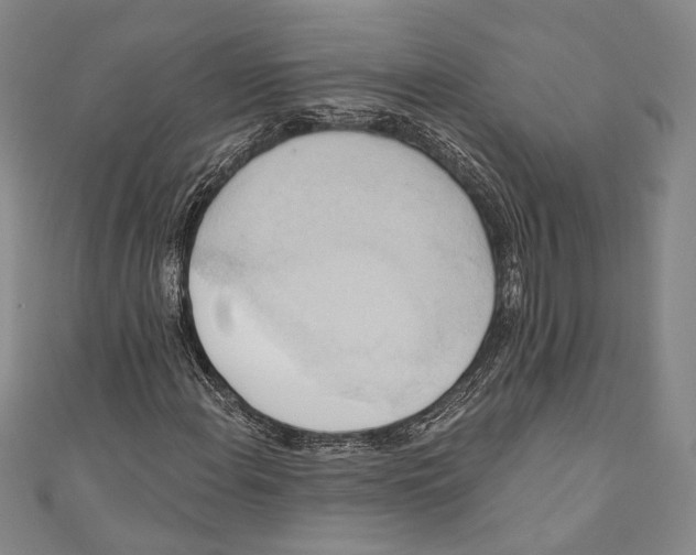 X0000110681108200907101121