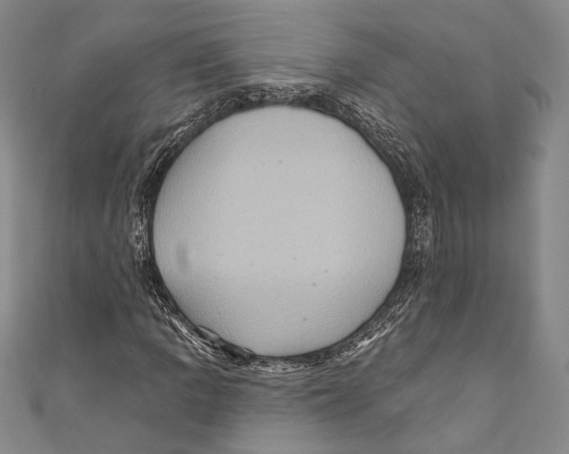 X0000110681109200907101121