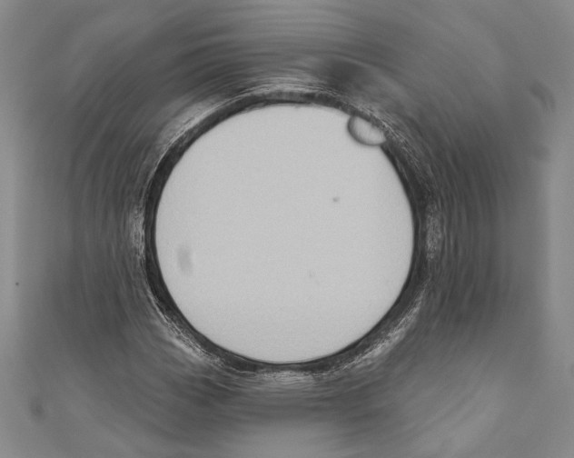 X0000110681113200907101122