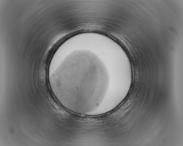 X0000110681115200907101122