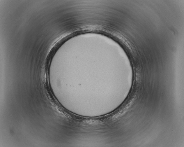 X0000110681117200907101122
