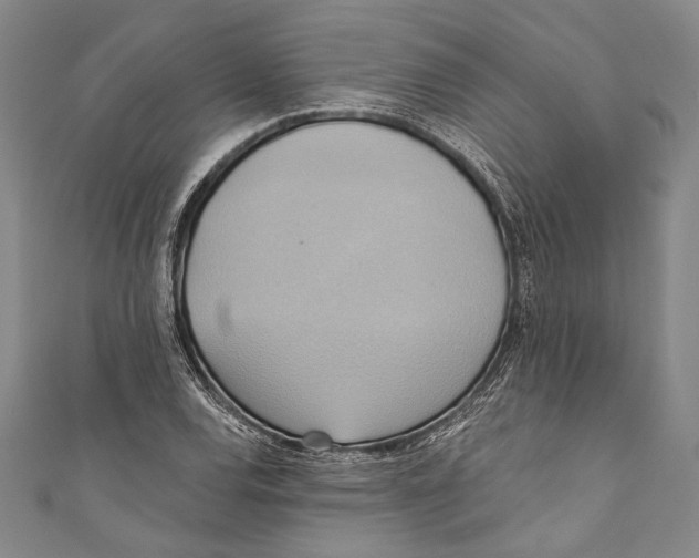 X0000110681120200907101122