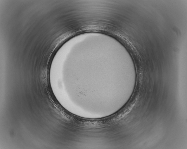 X0000110681121200907101122