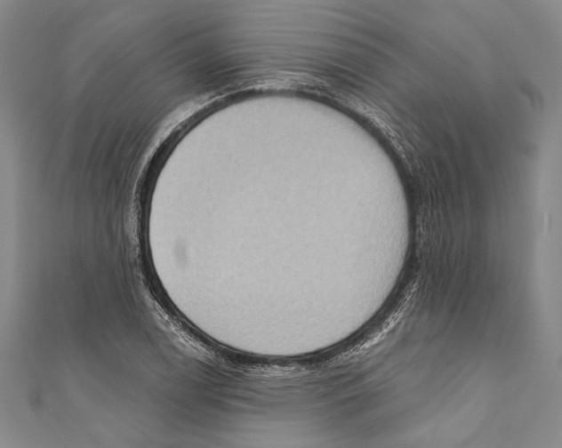 X0000110681122200907101122