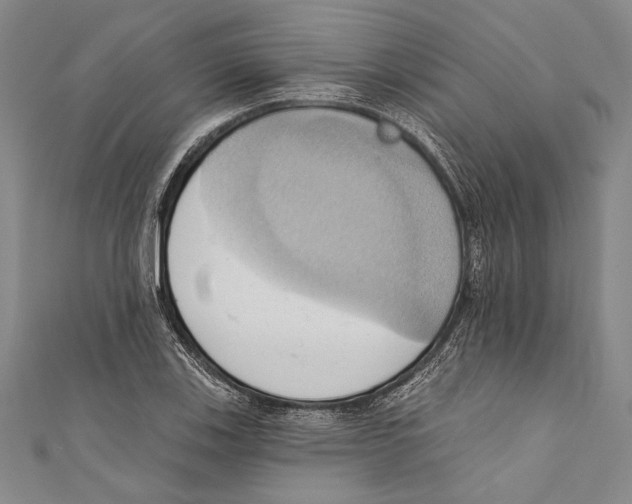 X0000110681123200907101122