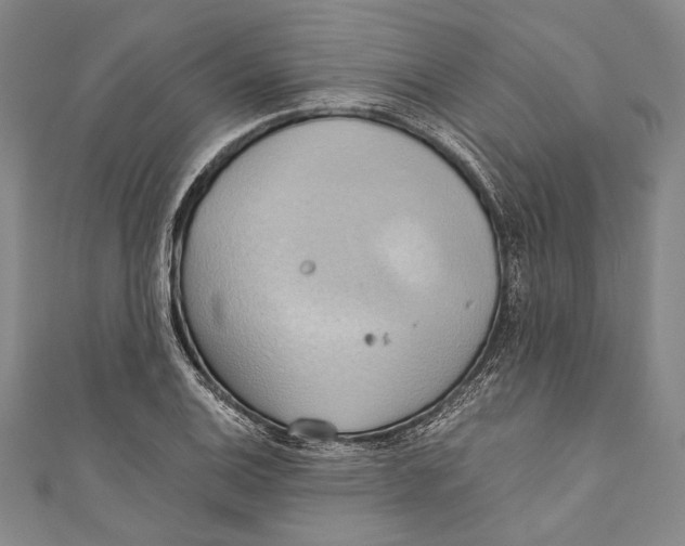 X0000110681124200907101122