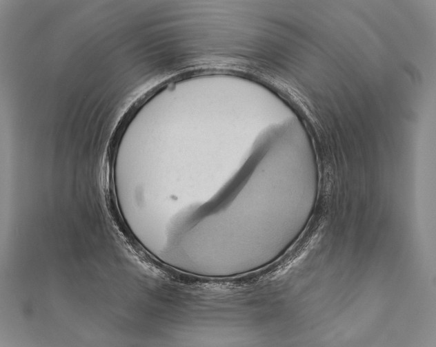 X0000110681125200907101122
