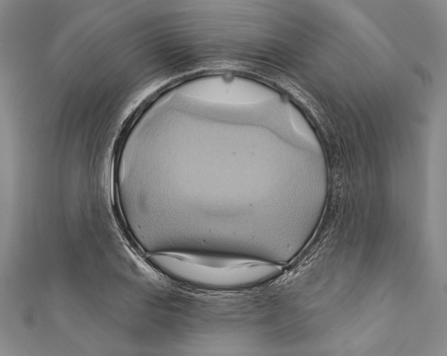 X0000110681127200907101122