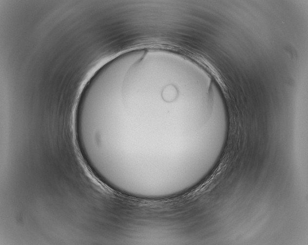 X0000110681128200907101122