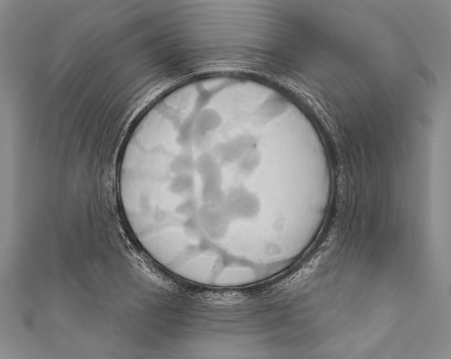 X0000110681129200907101122