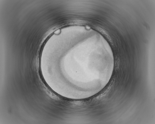 X0000110681130200907101122
