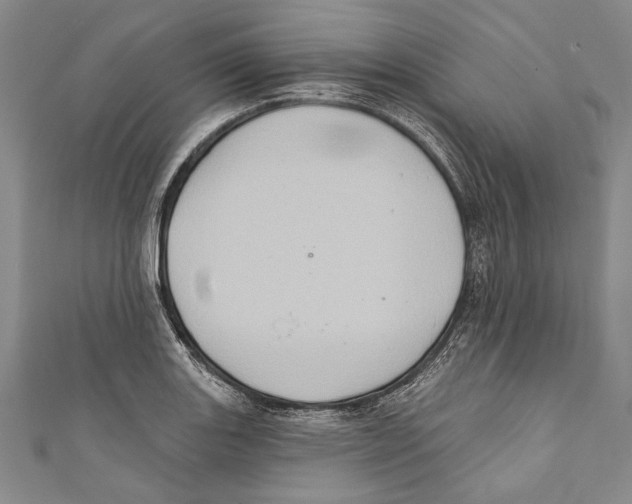 X0000110681131200907101122