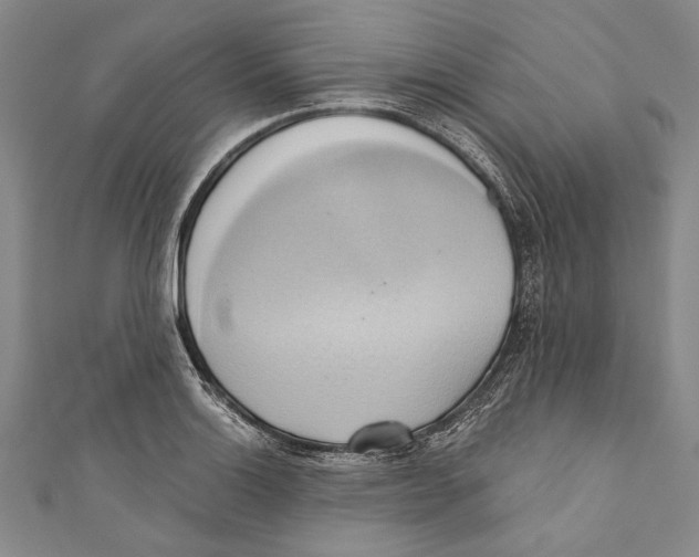 X0000110681132200907101122
