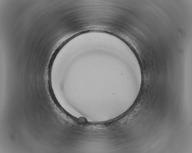 X0000110681133200907101122