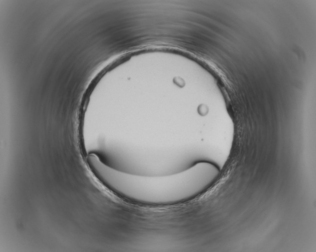 X0000110681134200907101122
