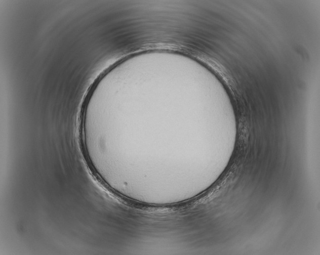 X0000110681135200907101122