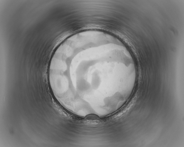 X0000110681137200907101122