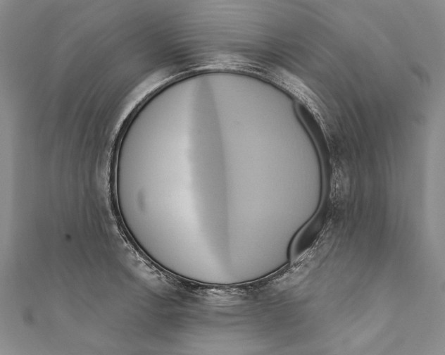 X0000110681138200907101122