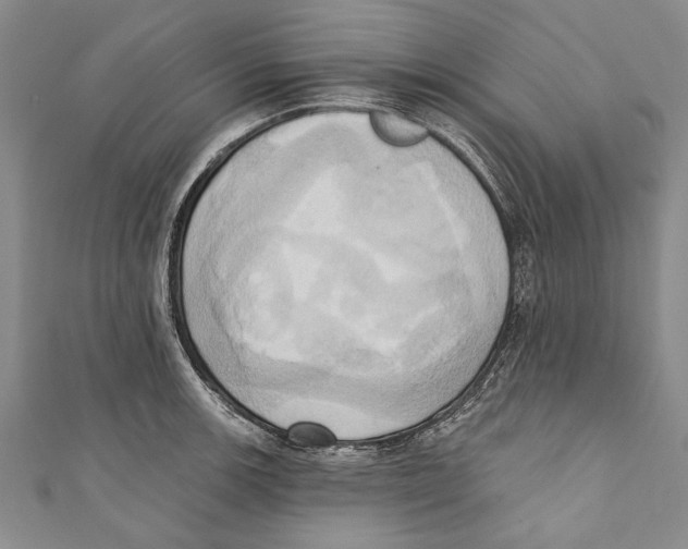 X0000110681139200907101122