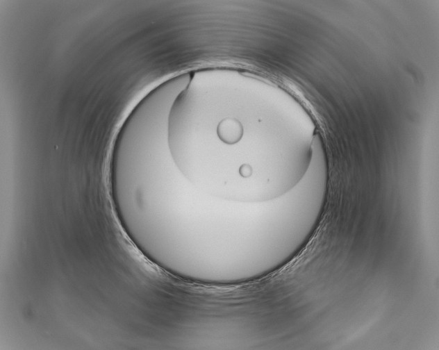 X0000110681140200907101122