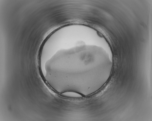 X0000110681141200907101122