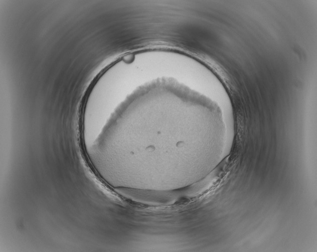 X0000110681142200907101122