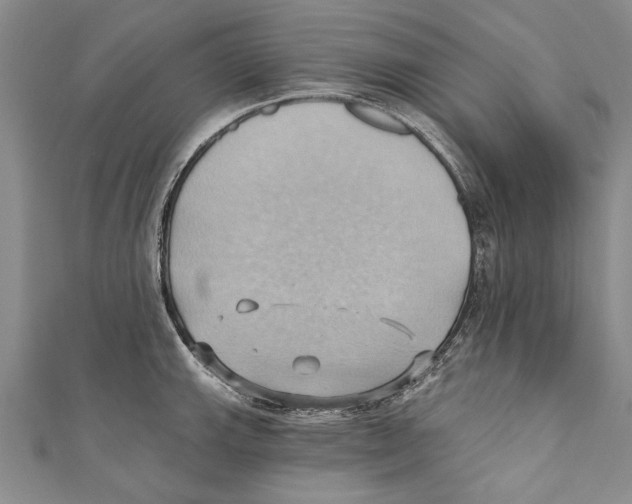 X0000110681143200907101122
