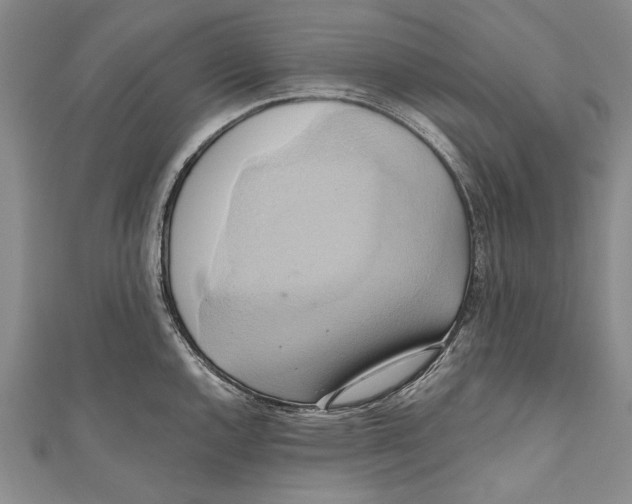 X0000110681144200907101122