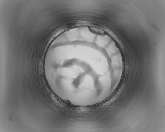 X0000110681145200907101122