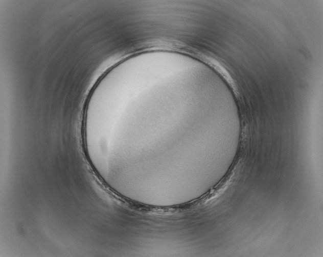 X0000110681146200907101122
