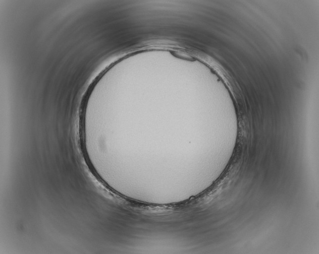 X0000110681147200907101122