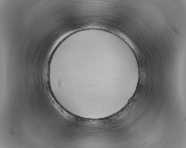 X0000110681148200907101122