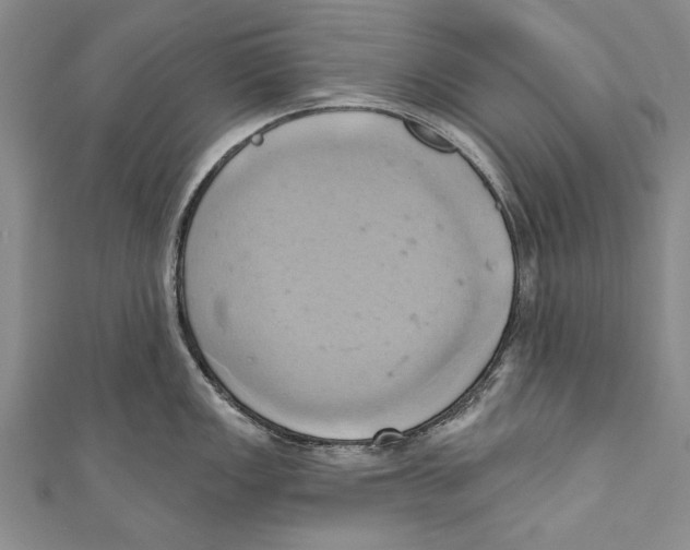 X0000110681149200907101122